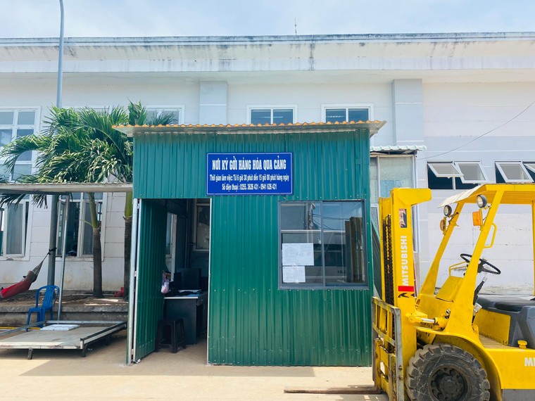 ‘Ban quản lý cảng tại Sa Kỳ tự thu cước hàng hóa là cực kỳ vô lý’ ảnh 1