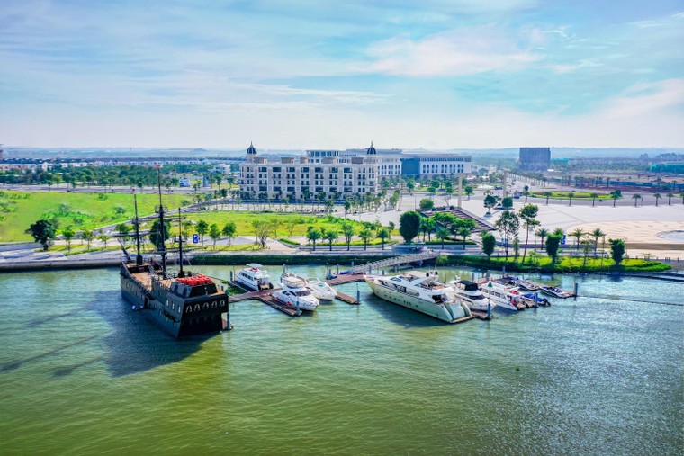 Liên kết vùng: Doanh nghiệp đồng hành phát triển kinh tế ảnh 1