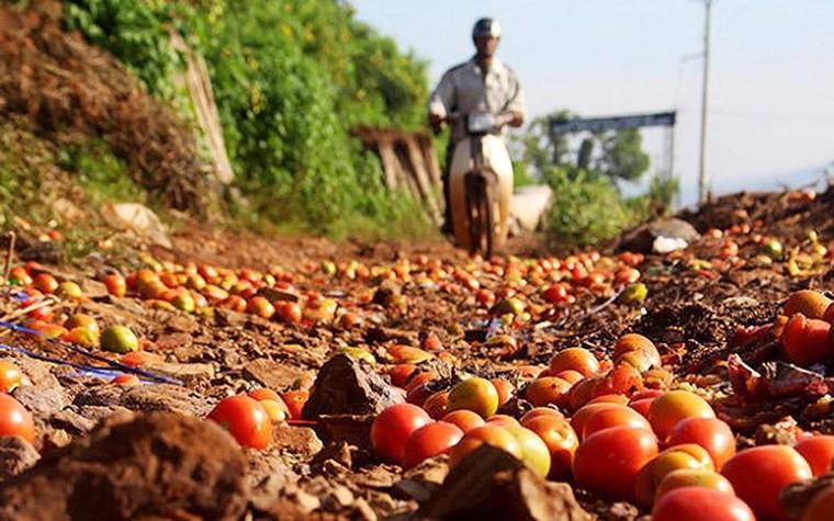 Giải bài toán “được mùa, mất giá” cho nông sản địa phương bằng ứng dụng công nghệ ảnh 1