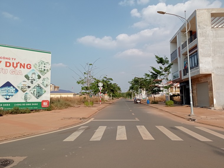 Dự án sân bay Quốc tế Long Thành - hé mở những 'góc khuất'... ảnh 3