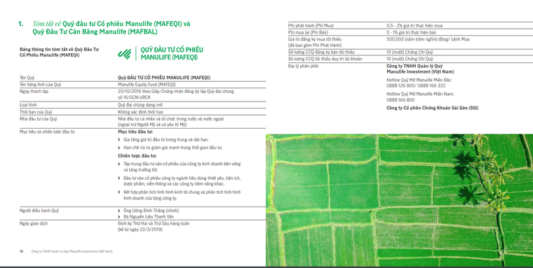 Bảo hiểm nhân thọ - Bài 4: Mang tiền bảo hiểm đi mua cổ phiếu, lỗ khách hàng chịu?! ảnh 4