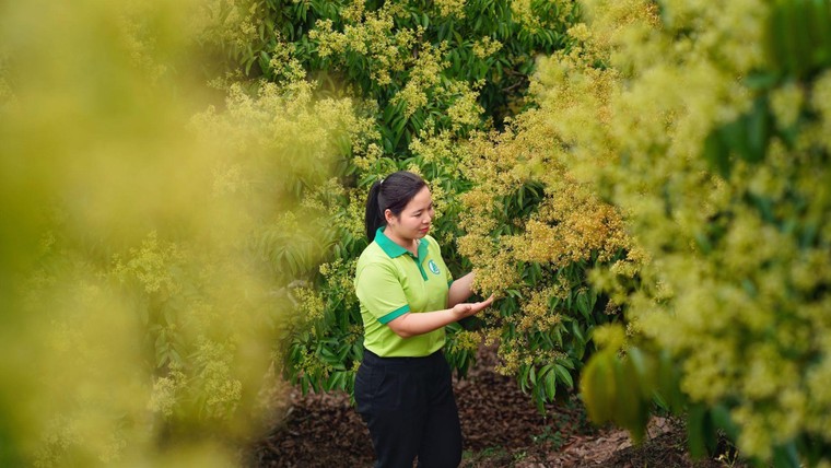 Grab "giúp sức" đưa công nghệ mở lối cho những giá trị gia đình được tiếp nối ảnh 3