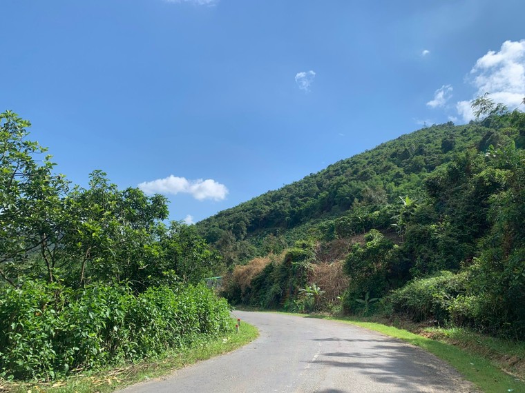 Bình Thuận: Phá rừng, xây dựng trái phép tràn lan tại xã Đa Mi ảnh 2