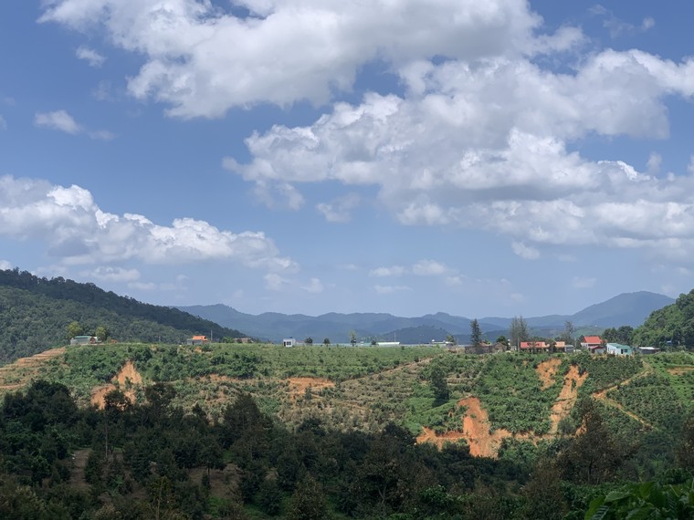 Bình Thuận: Phá rừng, xây dựng trái phép tràn lan tại xã Đa Mi ảnh 7