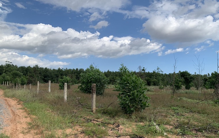 Bình Thuận: Tỉnh giao đất cho dân, huyện cấp cho cán bộ xã ảnh 2