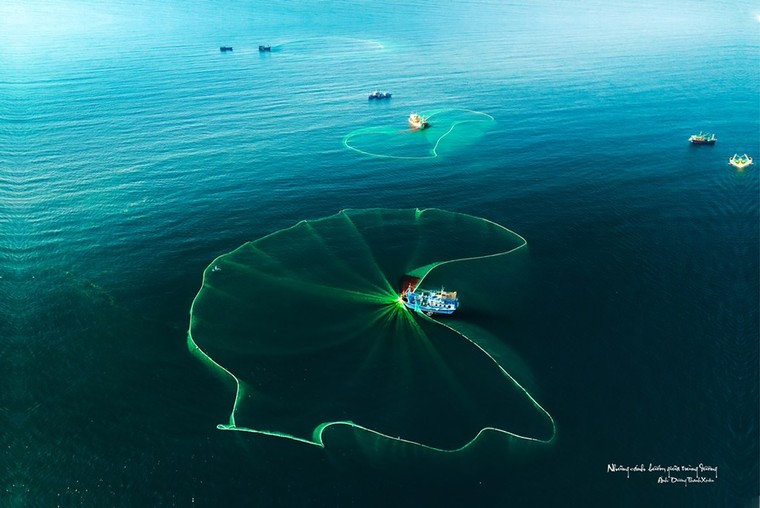 Nghệ sĩ nhiếp ảnh chọn cảnh trong "Tôi thấy hoa vàng trên cỏ xanh" cần giúp đỡ ảnh 1