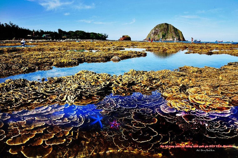 Nghệ sĩ nhiếp ảnh chọn cảnh trong "Tôi thấy hoa vàng trên cỏ xanh" cần giúp đỡ ảnh 6