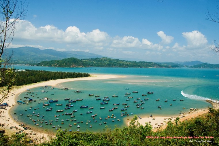 Nghệ sĩ nhiếp ảnh chọn cảnh trong "Tôi thấy hoa vàng trên cỏ xanh" cần giúp đỡ ảnh 2