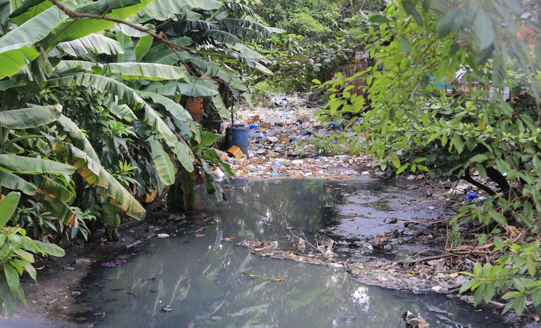 Bên dòng Xuyên Tâm ảnh 4