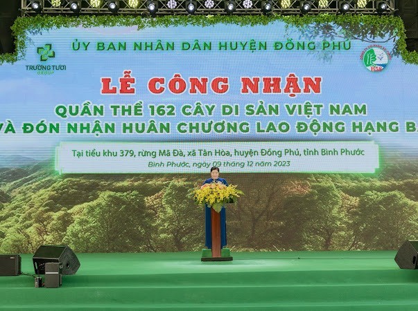 Bình Phước tổ chức Lễ công nhận 162 cây di sản Việt Nam tại rừng Mã Đà. ảnh 1