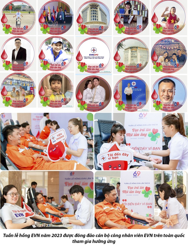 Chương trình Tuần lễ hồng EVN lần thứ IX hiến tặng 9.869 đơn vị máu ảnh 1
