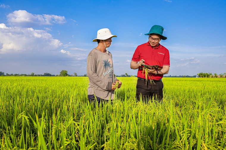 Bộ Nông nghiệp và Phát triển nông thôn - Agribank ký kết Bản ghi nhớ cung ứng sản phẩm dịch vụ ảnh 2