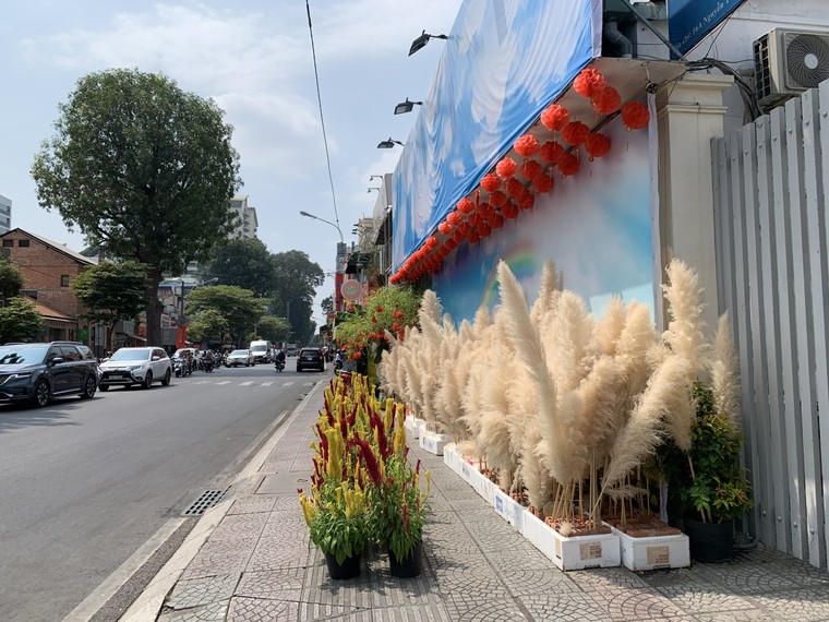 Đường phố TP.HCM trang hoàng lung linh đón Tết ảnh 7