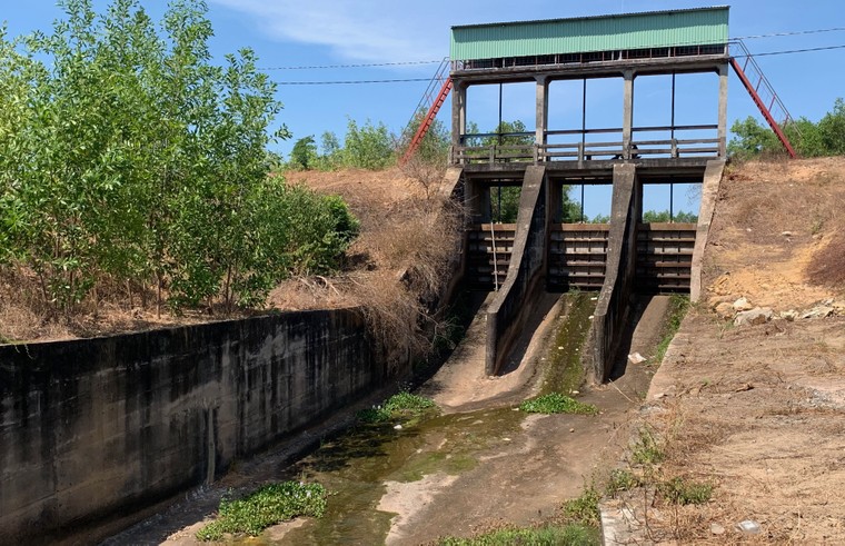 “Đất đỏ” héo hắt ảnh 5