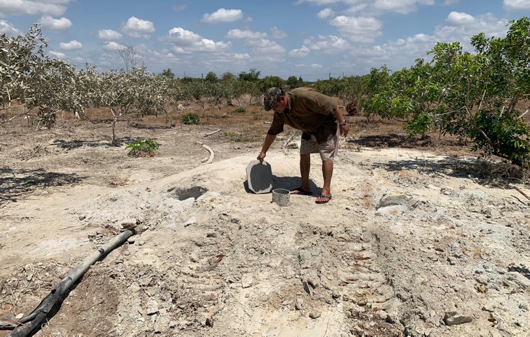 “Đất đỏ” héo hắt ảnh 8