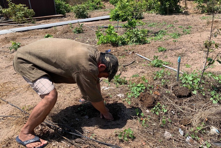 “Đất đỏ” héo hắt ảnh 7