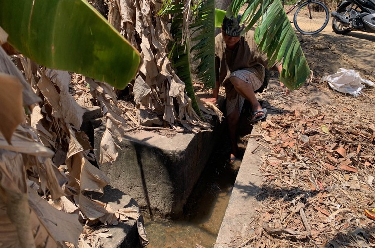 “Đất đỏ” héo hắt ảnh 6