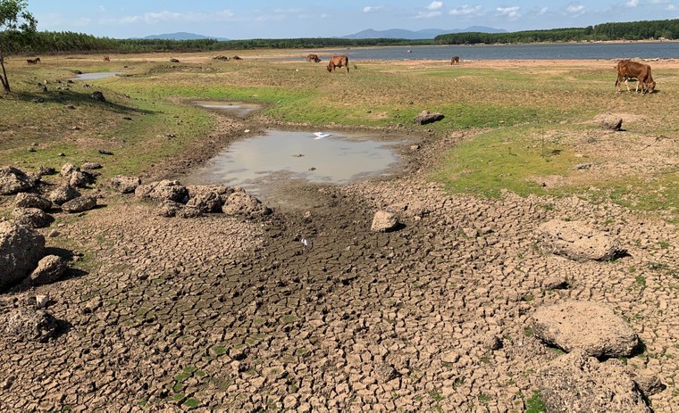 “Đất đỏ” héo hắt ảnh 3