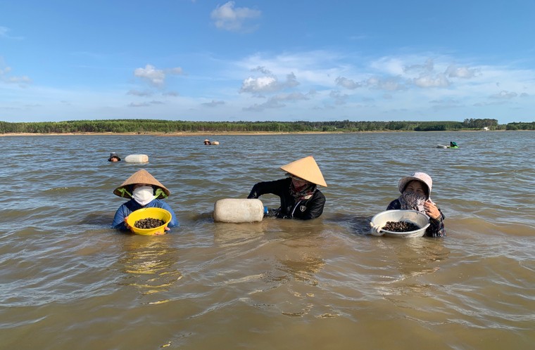 “Đất đỏ” héo hắt ảnh 2