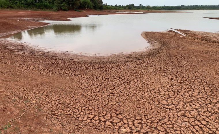 “Đất đỏ” héo hắt ảnh 11