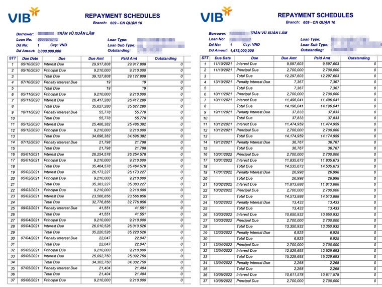 VIB bị tố làm giả hồ sơ vay? – Bài 4: Ngân hàng phản hồi như thế nào? ảnh 3
