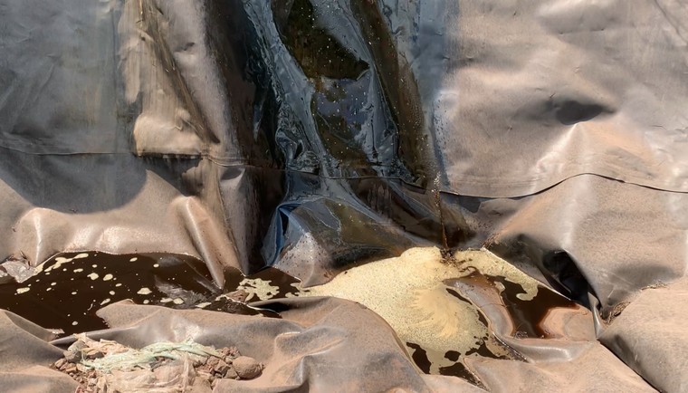 Vụ Khu XLCT Quang Trung xả thải ra suối: Giám đốc Sở TNMT Đồng Nai chỉ đạo tiếp cận, báo cáo tỉnh ảnh 1