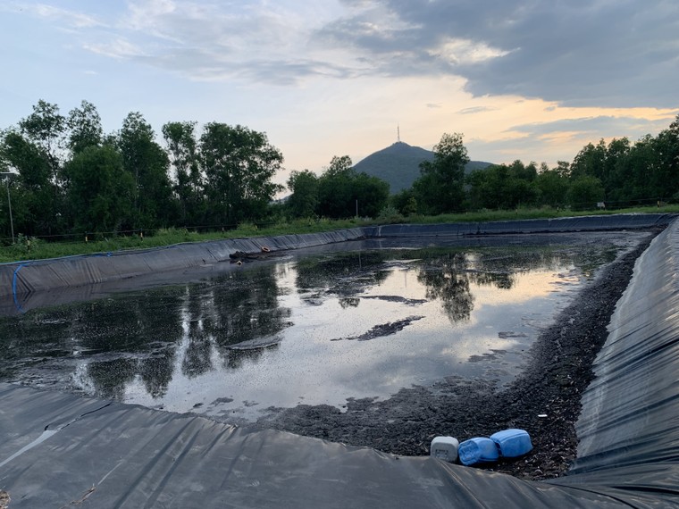 Bình Thuận: Trang trại heo Làng Việt Nam xả thải ra môi trường ảnh 3