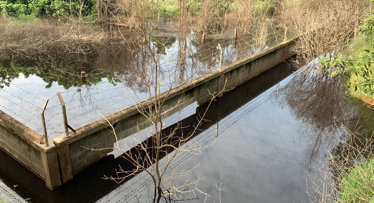 Bình Thuận: Trang trại heo Làng Việt Nam xả thải ra môi trường ảnh 5