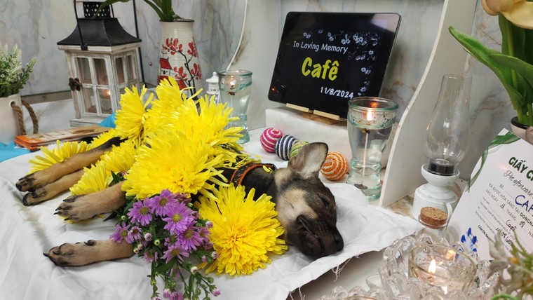 Dịch vụ mai táng cho thú cưng ảnh 2