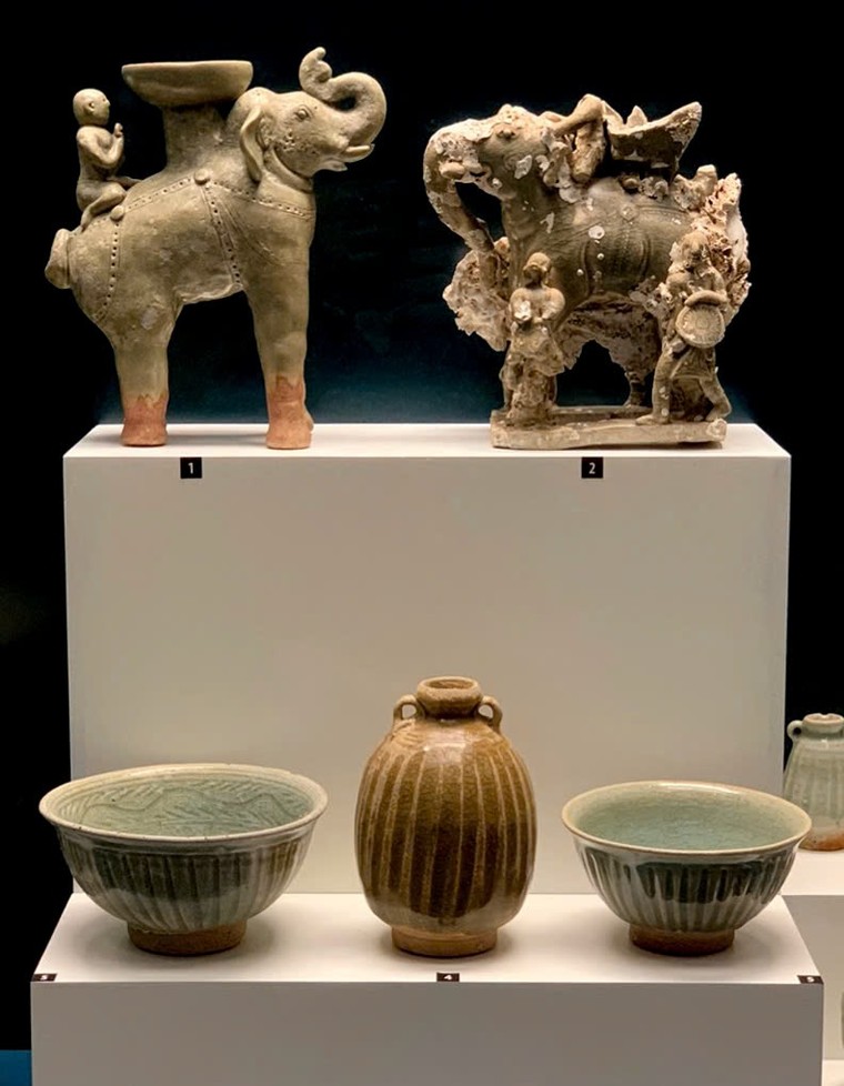 Những báu vật từ đáy biển ảnh 1