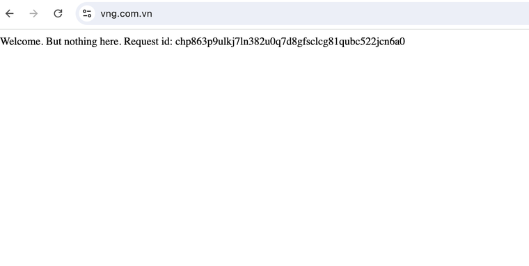 VNG bổ nhiệm Quyền Tổng Giám đốc giữa “giông bão” ảnh 4