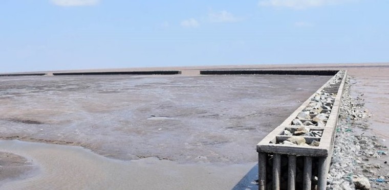 Chuyện gì đang xảy ra tại Bạc Liêu: Trồng rừng rừng chết, chuyển cơ quan điều tra hàng loạt hồ sơ ảnh 1