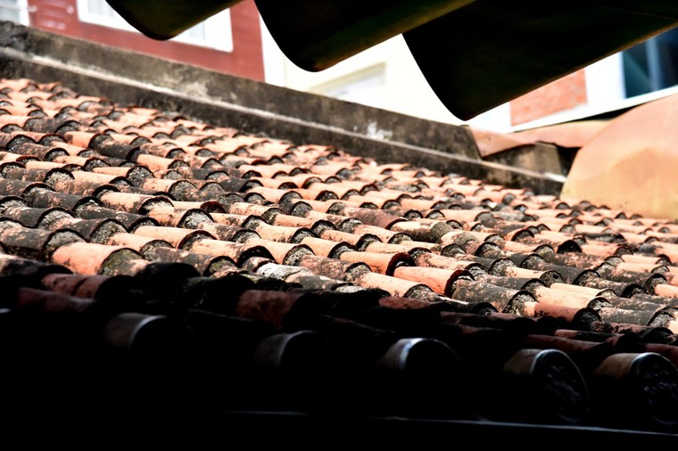 Thăm nhà cụ Vương! ảnh 4