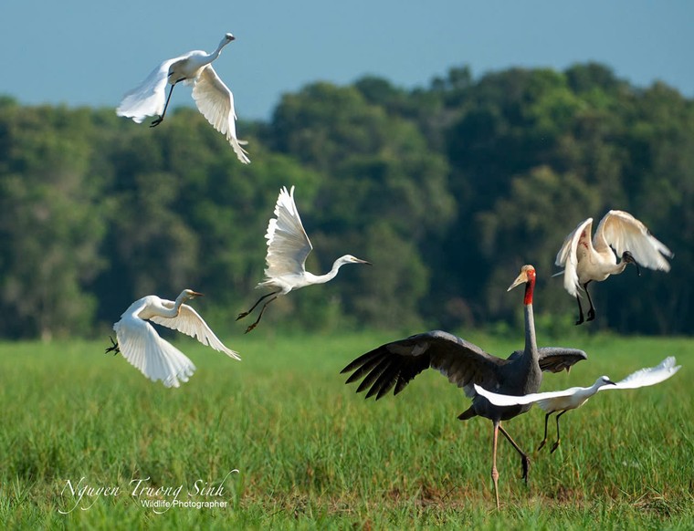 Trao giải và triển lãm cuộc thi ảnh Chim và Thú hoang dã Việt Nam 2024 ảnh 2