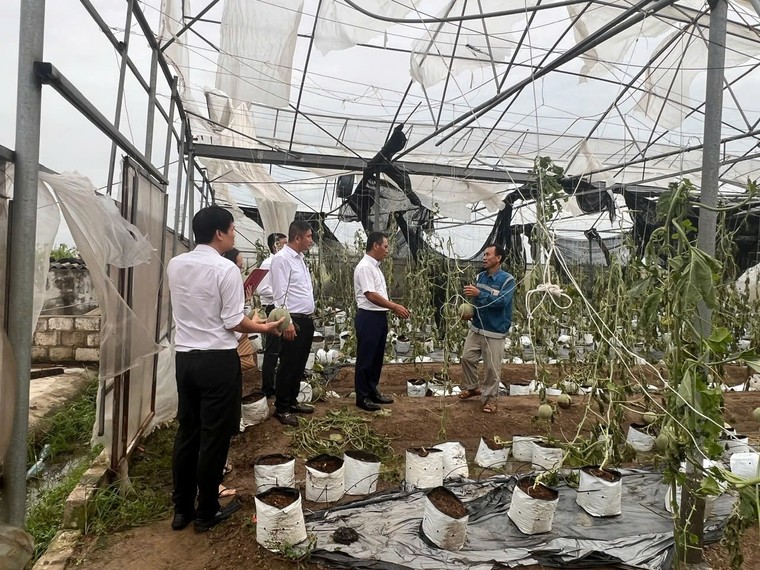 Agribank ưu đãi lãi vay đối với khách hàng bị thiệt hại do bão số 3 và lũ lụt ảnh 1