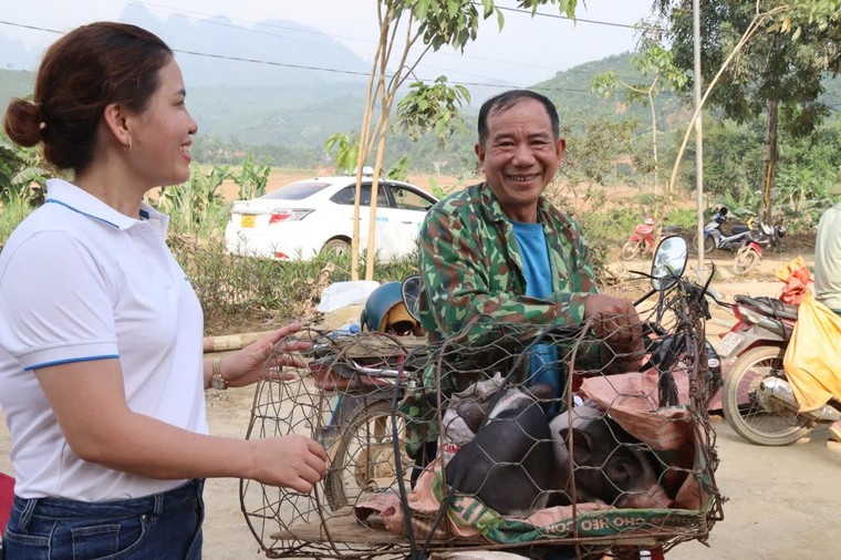 Hỗ trợ sinh kế cho gần 250 gia đình các tỉnh phía Bắc bị thiệt hại bởi bão Yagi ảnh 1