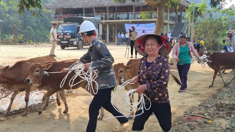 Hỗ trợ sinh kế cho gần 250 gia đình các tỉnh phía Bắc bị thiệt hại bởi bão Yagi ảnh 5