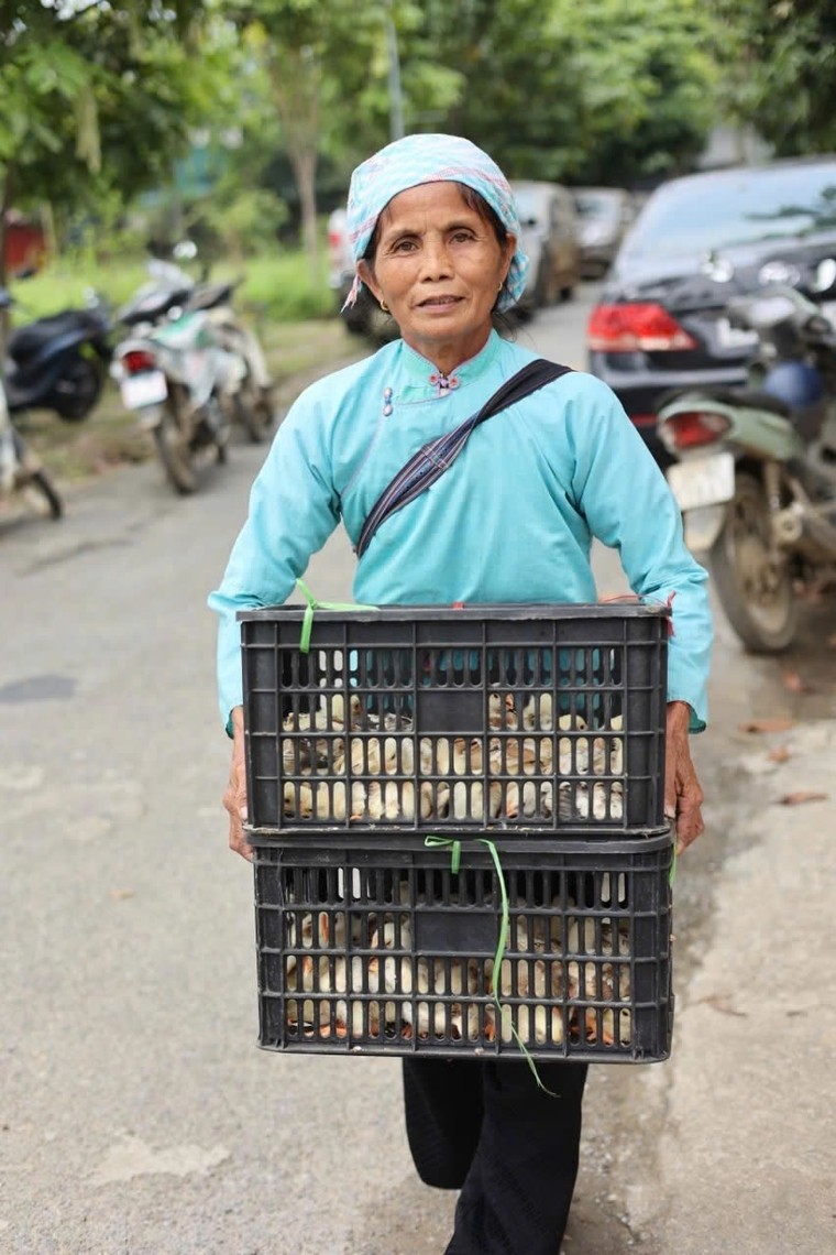 Hỗ trợ sinh kế cho gần 250 gia đình các tỉnh phía Bắc bị thiệt hại bởi bão Yagi ảnh 7