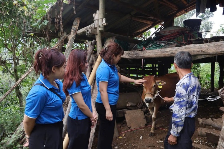 Hỗ trợ sinh kế cho gần 250 gia đình các tỉnh phía Bắc bị thiệt hại bởi bão Yagi ảnh 6