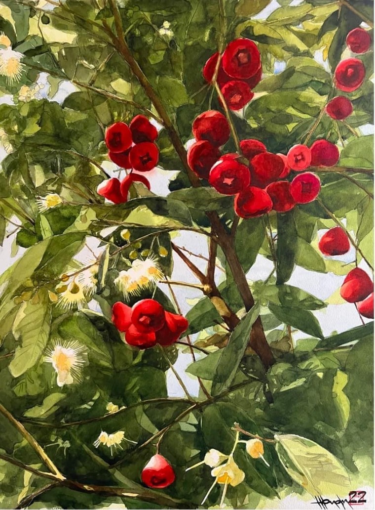 Ngắm tranh màu nước của hoạ sĩ Hồng Quân ảnh 10