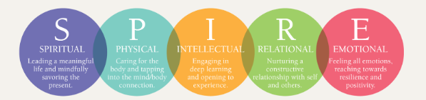 Hạnh phúc trong Giáo dục: Xu hướng toàn cầu và ứng dụng tại Việt Nam ảnh 3