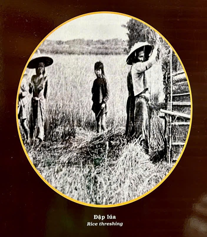 TP.HCM: Trưng bày chuyên đề “Phú Xuân - Gia Định, Những dấu ấn lịch sử” ảnh 7