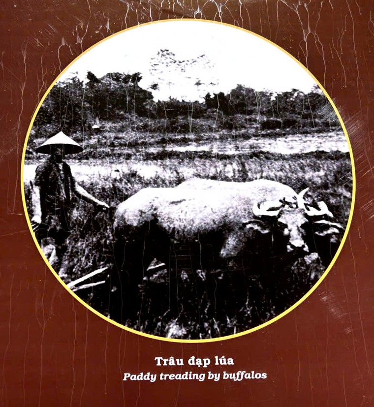 TP.HCM: Trưng bày chuyên đề “Phú Xuân - Gia Định, Những dấu ấn lịch sử” ảnh 6