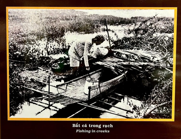 TP.HCM: Trưng bày chuyên đề “Phú Xuân - Gia Định, Những dấu ấn lịch sử” ảnh 5