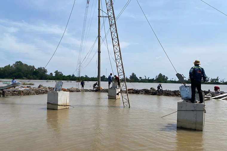 Ngành Điện miền Nam “Xuyên đêm” đưa các công trình điện trọng điểm về đích ảnh 1