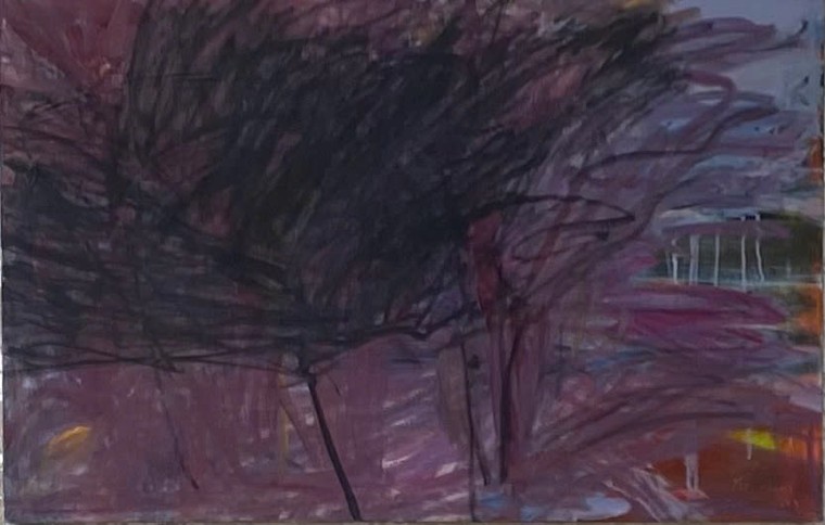 Bùi Chát - nhà thơ 7 tập, họa sĩ 10 lần ảnh 2