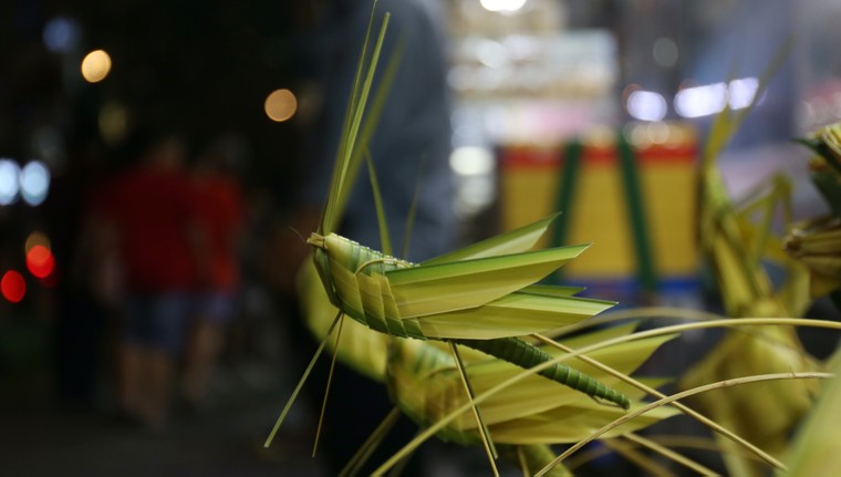 Giáng sinh an lành! ảnh 16