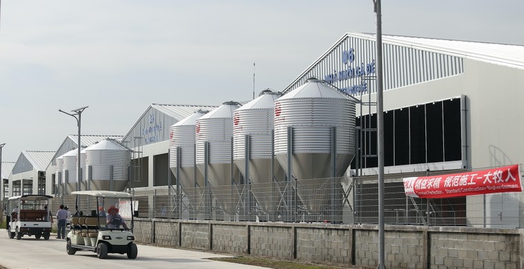 Mebi Farm khánh thành khu nông trại chăn nuôi gà đẻ trứng công nghệ cao tại Bình Thuận ảnh 5