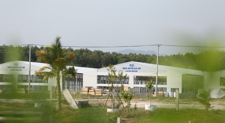 Mebi Farm khánh thành khu nông trại chăn nuôi gà đẻ trứng công nghệ cao tại Bình Thuận ảnh 4