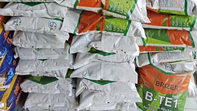 Kiên Giang: Lúa giống giả tung hoành, nông dân không biết kêu ai?! ảnh 1